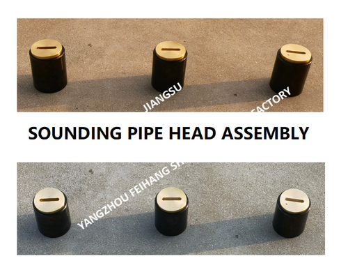 F. O. (fuel oil tank) fuel sounding pipe head, fuel tank temperature measuring head, sounding injection head C50 CB / t3