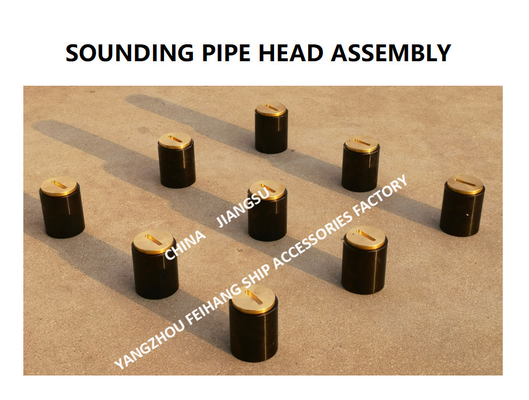 F. O. (fuel oil tank) fuel sounding pipe head, fuel tank temperature measuring head, sounding injection head C50 CB / t3