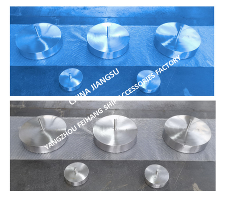 BREATHABLE CAP FLOATER 533HFB-100A BREATHABLE CAP FLOATING PLATE FKM-100A MATERIAL: STAINLESS STEEL