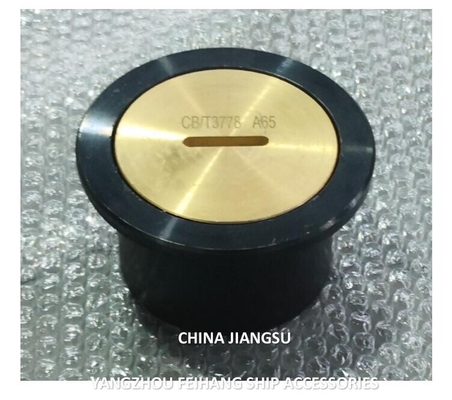 A50 Cb/T3778 Sounding Injection Head Sounding Tube Cap With O-Ring , Material Copper