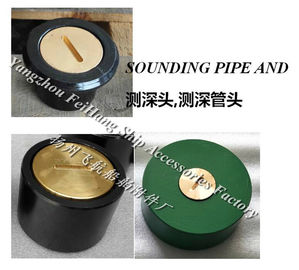 Stainless steel sounding head A100 CB/T3778-99