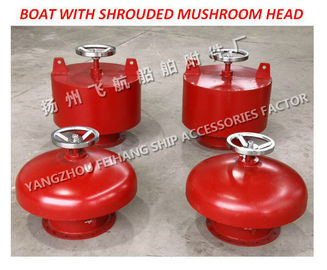 Externally open mushroom vents with Dg=100 are usually marked as: hood ventilator with deflector A100 CB455-65