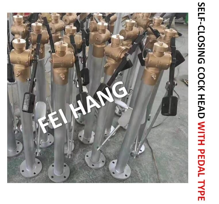 Fh-Dn65 Marine Sounding Self Closing Valve, Foot Type Sounding Self Closing Valve With Extension Rod DN65 CB / T3778-99